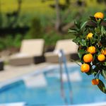 4 Tage "Auf und davon"  |   am Wochenende 
